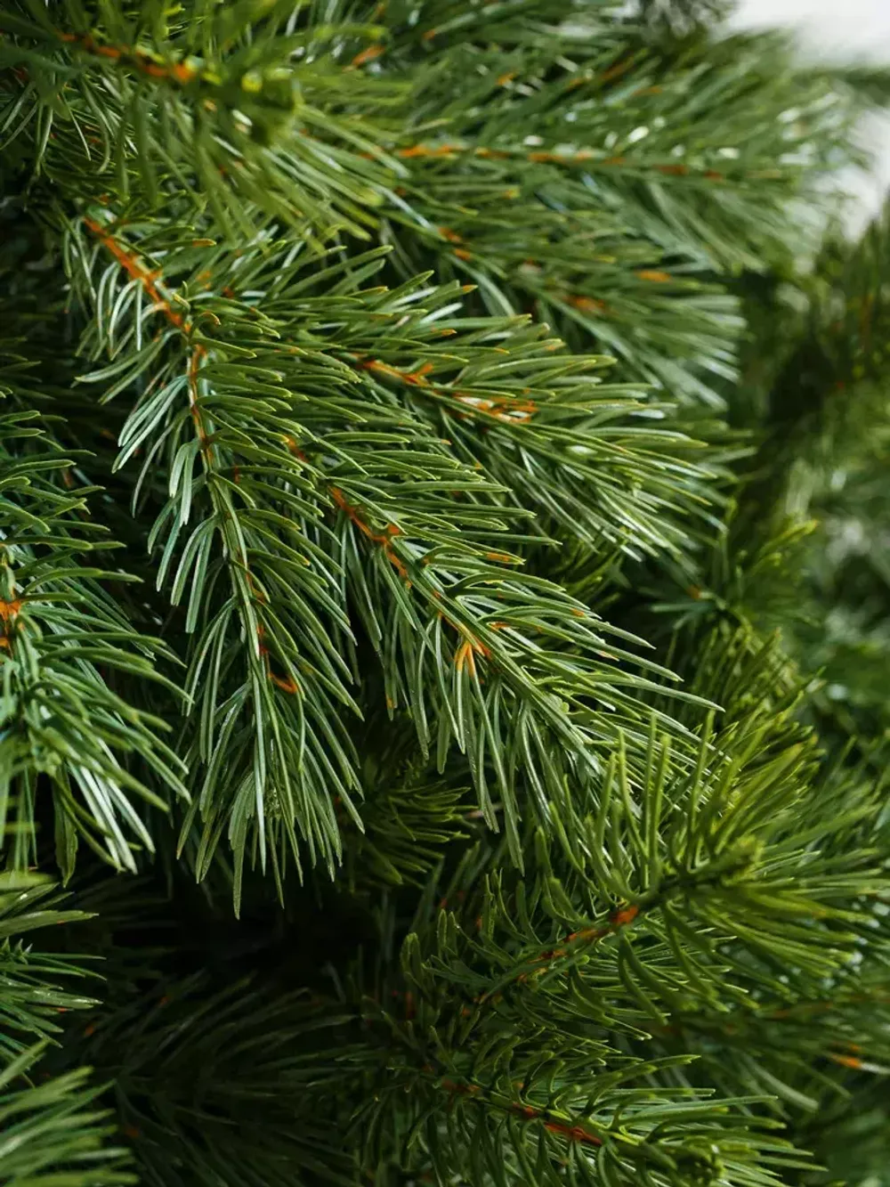 Ель искусственная «Шервуд» (Литая хвоя) от 1,5 м до 2,4 м