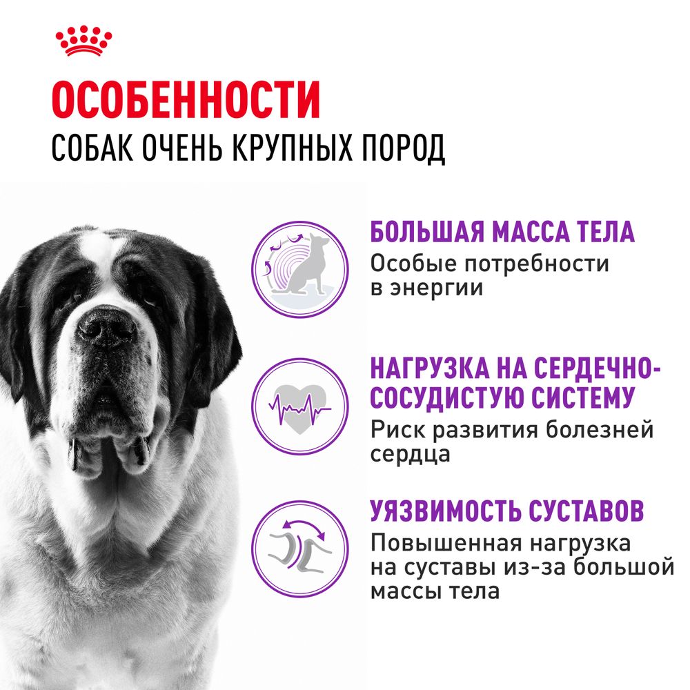 Сухой корм Royal Canin Giant Adult для взрослых собак очень крупных размеров от 18 месяцев Сухой корм Royal Canin Giant Adult для взрослых собак очень крупных размеров от 18 месяцев