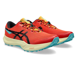 Кроссовки для бега мужские Asics Fuji Lite 6 Красные