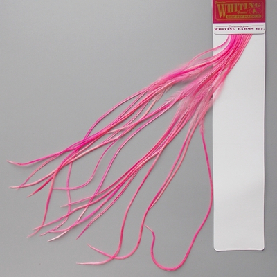 WHITING Петушиные перья из седла 100 Pk