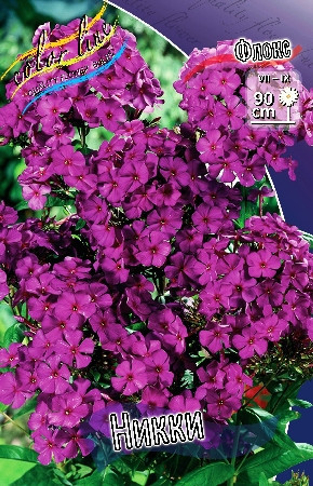 Флокс НИККИ