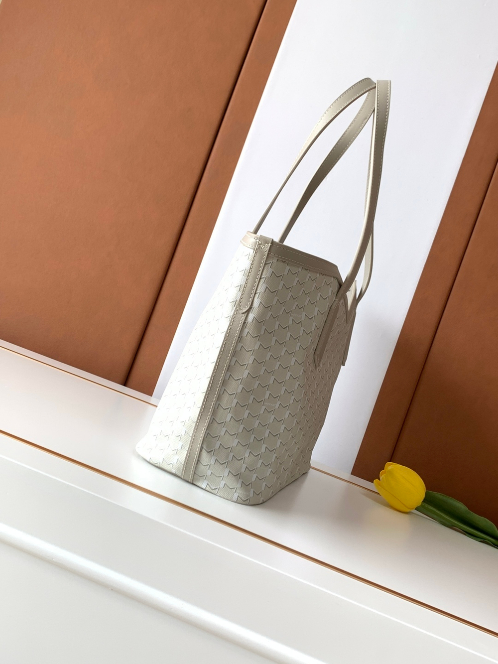 Moynat M Tote PM