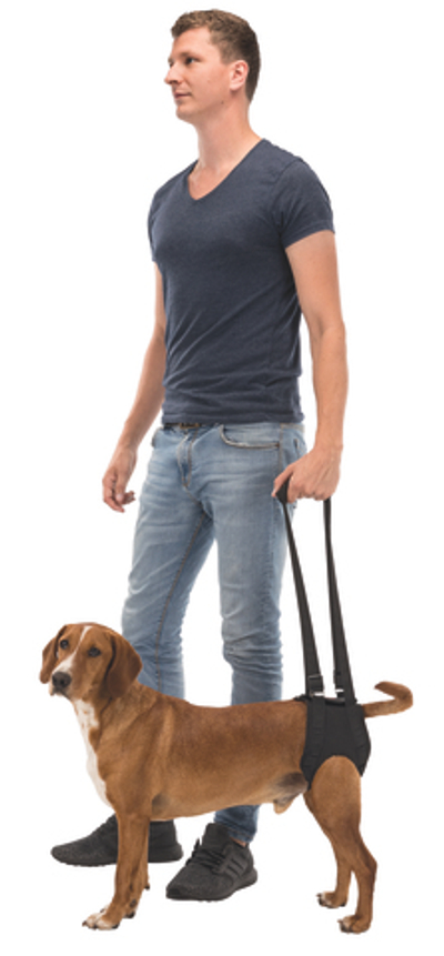 Шлейка Trixie "Walking Aid", для средних собак, регулируемая, эластичная, черная, L