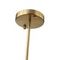 Подвесная люстра ST Luce Luminera SL1401.303.06