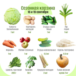 Сезонная корзина