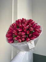 Букет из 51 малиново-белых тюльпанов - нет в наличии