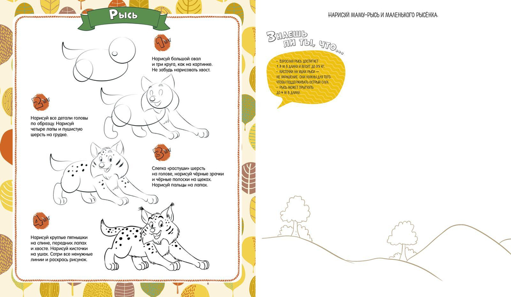 В лесу. Рисуем по шагам