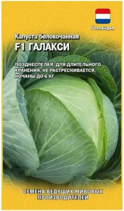 Капуста белокочанная семена
