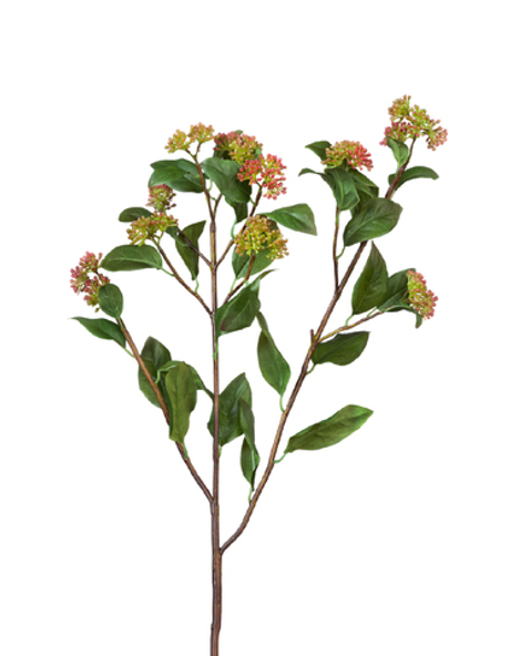 Ветвь Калликарпы зелёно-бордовая