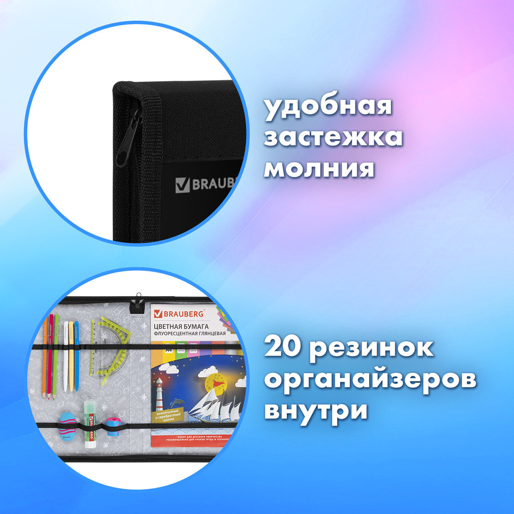 Папка на молнии BRAUBERG А4 с ручкой с органайзером 1 отделение "Savage lion" (2 штуки в упаковке)