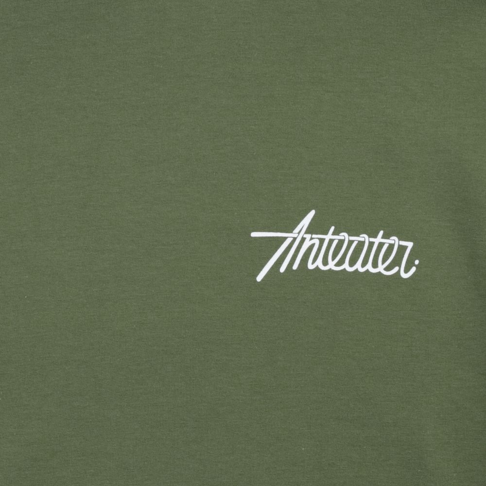 Футболка Anteater Phat Tee 498 (haki)