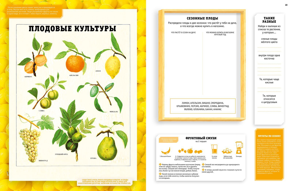 Как устроен мир растений