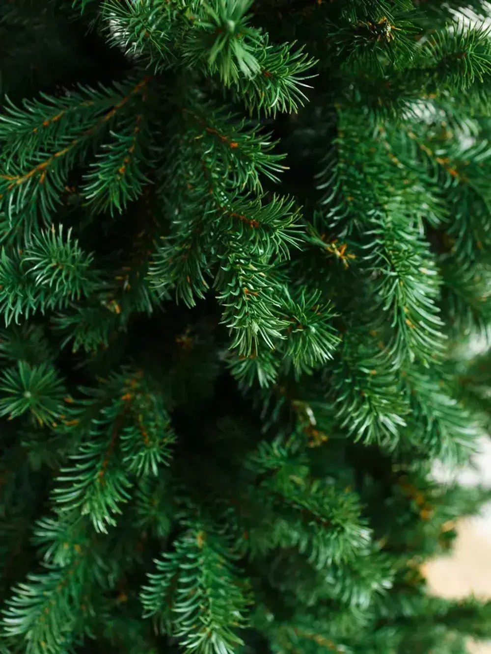 Искусственная узкая елка «Леман» (Литая+пвх) 120 см / 1,2 м