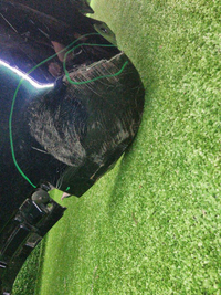 Бампер передний BMW X6 G06 (2019-2023) M-paket