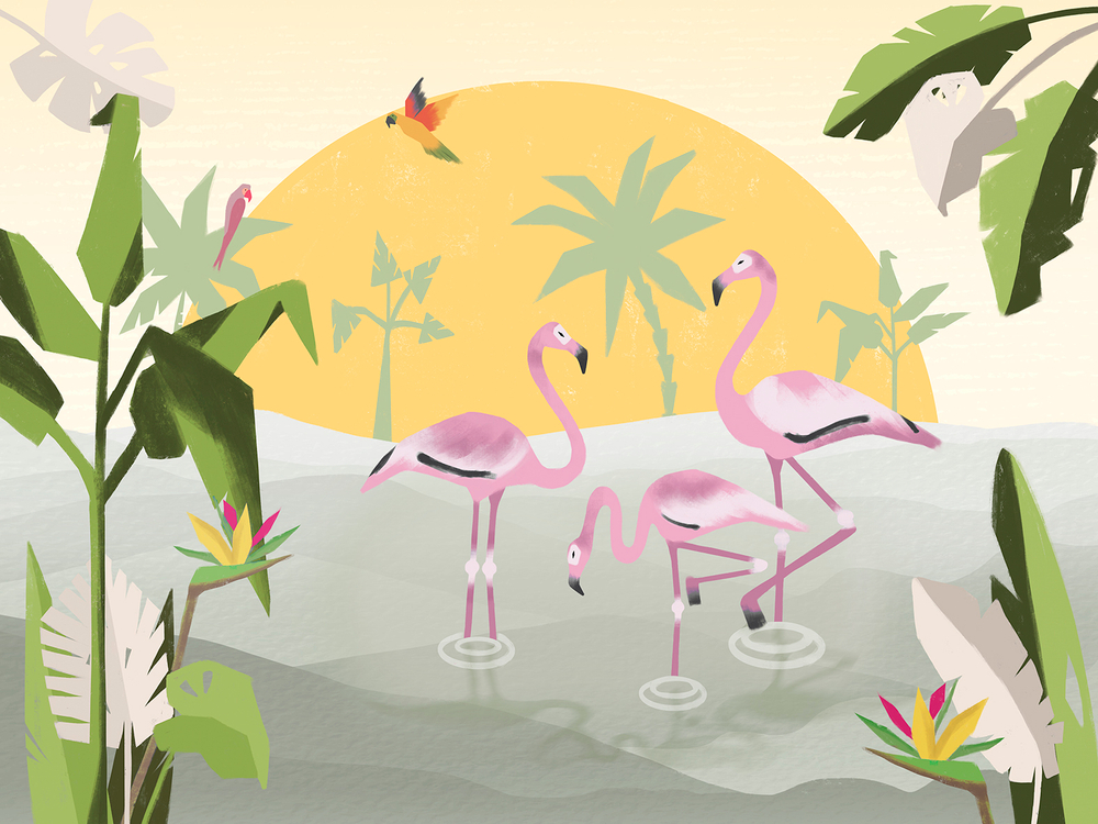 Коллекция JUNGLE