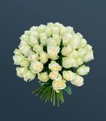 Розы белые 51 шт
