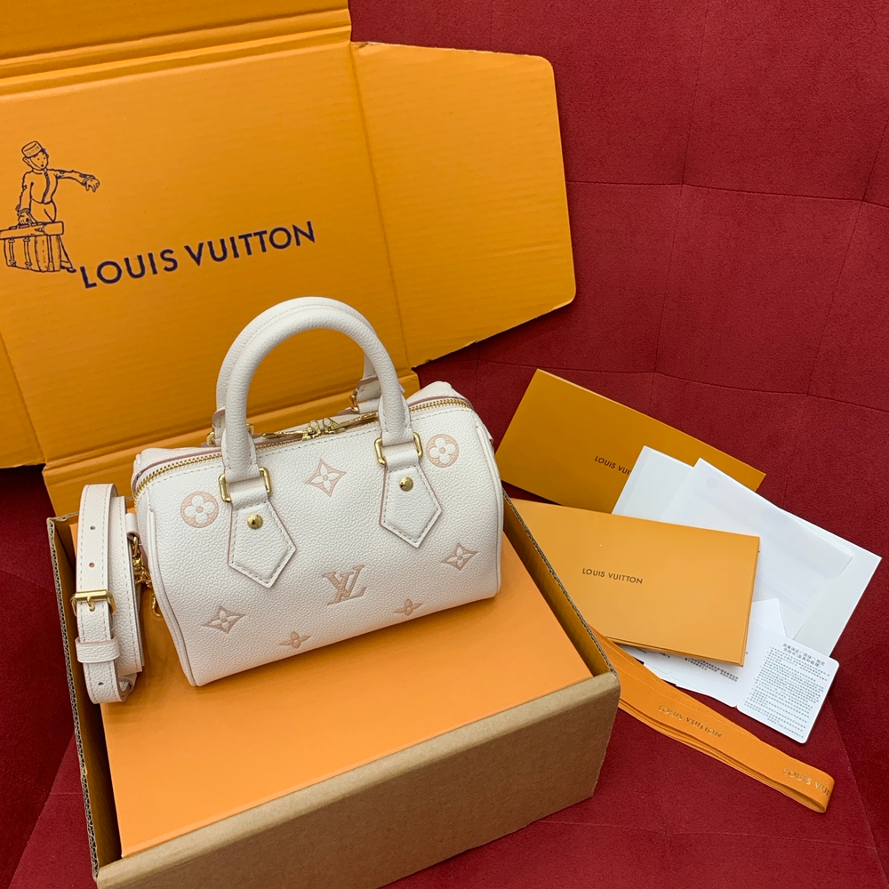 Louis Vuitton Speedy 20