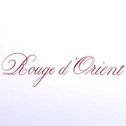 Чернила во флаконе Herbin Prestige 50 мл Rouge d'orien красные (13169JT) 3