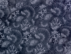 Коллекция WAVES