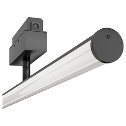 Трековый светильник Maytoni Technical TR026-2-10B3K