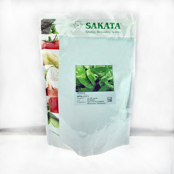 АПОЛЛО F1 семена шпината (Sakata | Alexagro) – фото 2