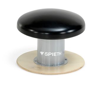 Гриб гимнастический