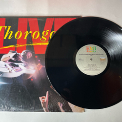 Винтажная виниловая пластинка LP George Thorogood and The Destroyers, Live (США 1987) Bottom Of The Sea