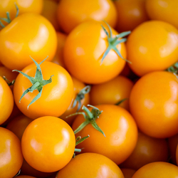 Томат Черри Желтый F1 5шт ВитаГрин ЭКСТРА