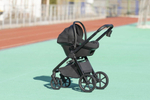 Коляска Carrello Vector CRL-6550 Nova DK791 Grey Line с базой Isofix 3 в 1 Seashell Beige