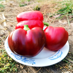 Перец Сладкий - Барбекю