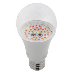 Фитолампа для растений светодиодная ЭРА FITO-12W-RB-E27 красно-синего спектра 12 Вт Е27