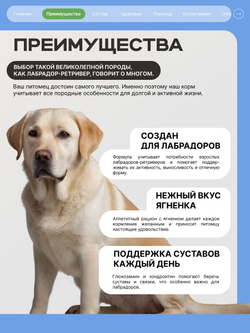 Корм сухой для взрослых собак породы Лабрадор-ретривер, с ягненком, 3 кг, QUATTRO