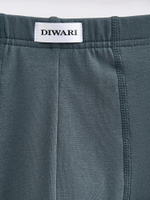 DIWARI BASIC MEN MSH 2127 Трусы мужские (коробка)