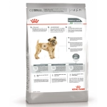 Сухой корм Royal Canin Mini Dental Care, для мелких собак с повышенной чувствительностью зубов, 1 кг