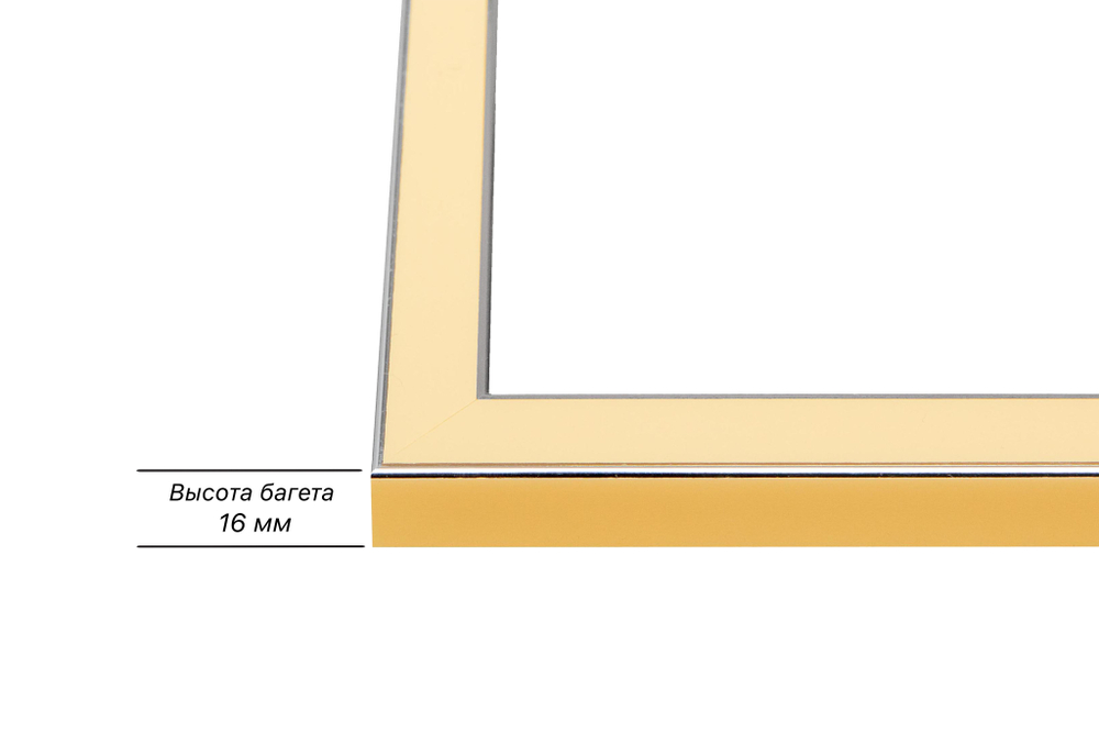 Рама 40x95 для картин и фотографий RP0760256-14