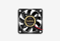 EX299905RUS_0226522103756