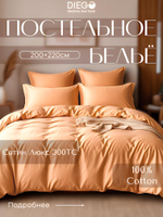 Постельное белье Евро Люкс 200х220 Бежевое