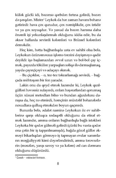 Güzgünün çatlaması