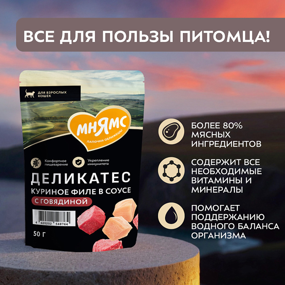 Влажный корм для кошек Деликатес куриное филе с говядиной в соусе Мнямс 50 г 20 шт