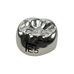 Второй нижний левый моляр, размер 5 (E-LL-5)