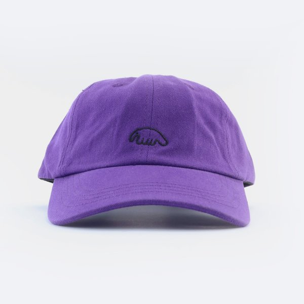 Кепка Anteater 6Panel (violet) артикул: - купить в магазине Дайс