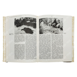 Сидоров А. А. Русская графика начала ХХ века. Очерки истории и теории. — М.: Искусство, 1969