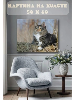 Картина на стену 40 X 50 Кот