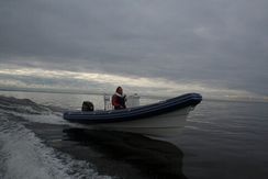 Надувная лодка РИБ Lima Аврора 5.8