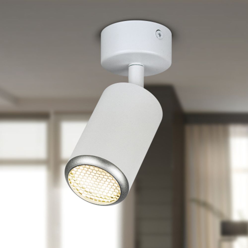Светильник настенно-потолочный спот ЭРА OL55 WH/SL MR16 GU10 IP20 белый/серебро | Накладные светильники