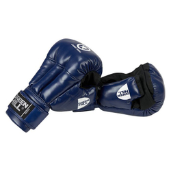 PG-2047CS Перчатки COMBAT SAMBO синие