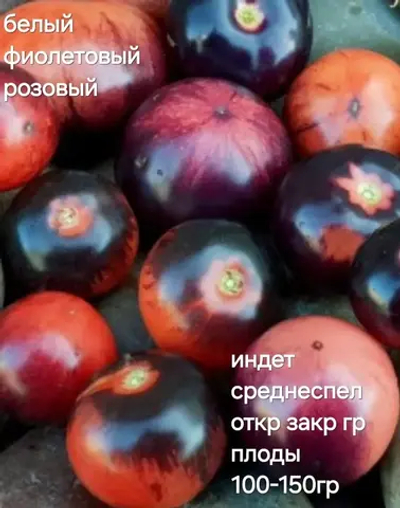 БЕЛЫЙ ФИОЛЕТОВЫЙ РОЗОВЫЙ