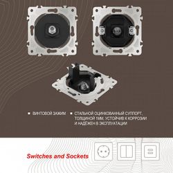 ТВ-розетка без рамки Arte Milano am-202 202.42-1.black