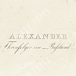 Портрет наследника цесаревича Александра Николаевича. Литография, 1839.