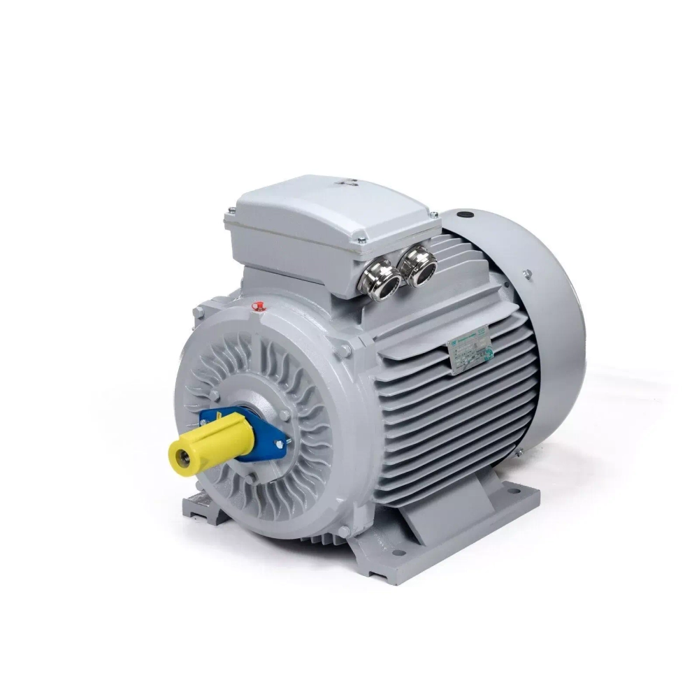 Электродвигатель ESQ PR 280 S4-SDN-Б1-S12-IE3 75/1500 IMB3